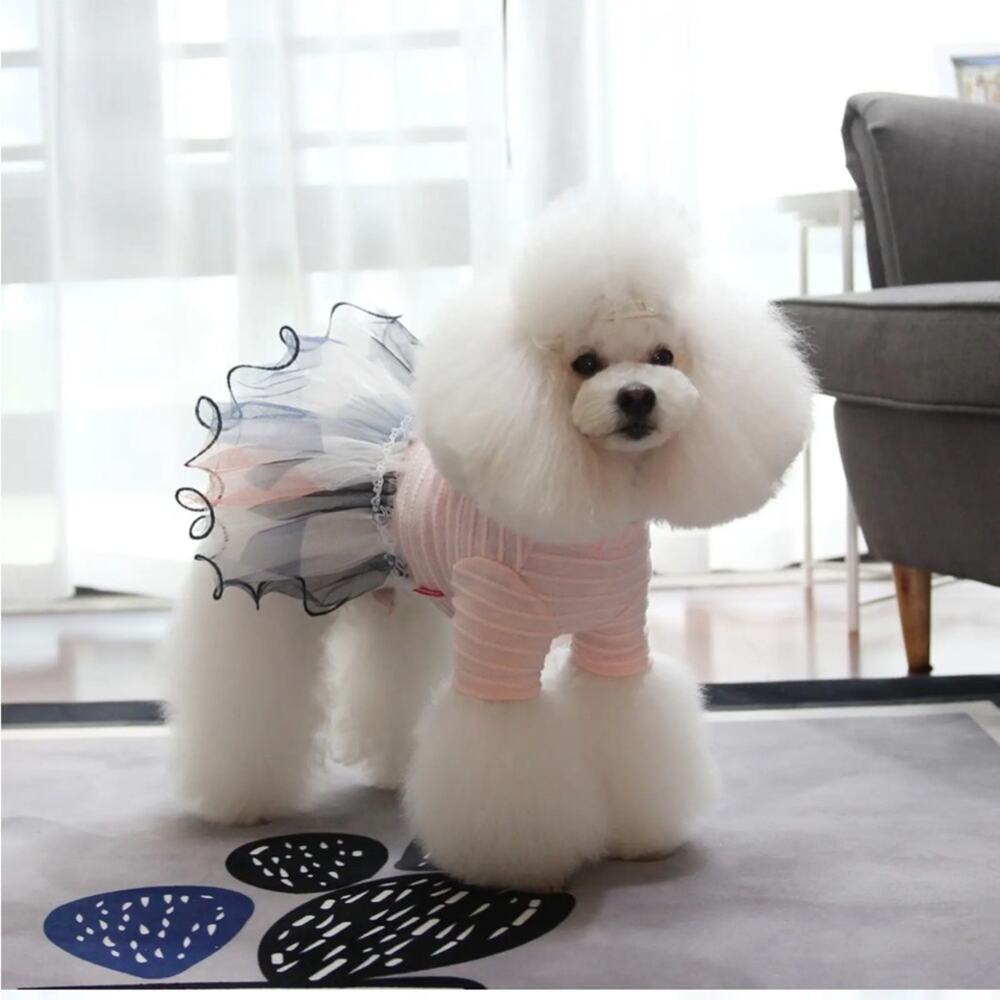 Adorable Tutu Dress for Dogs  Size Medium